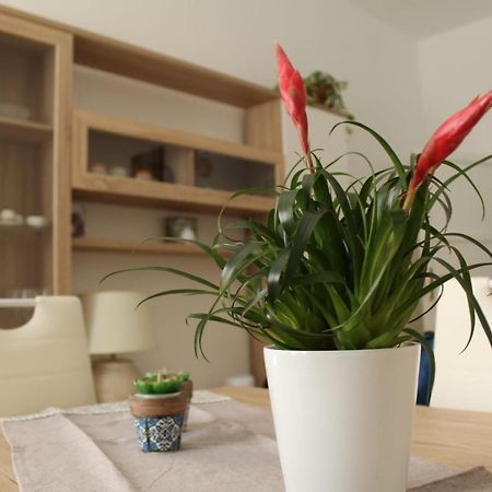 Ohana: Casa Nel Centro Di Lecce Zewnętrze zdjęcie