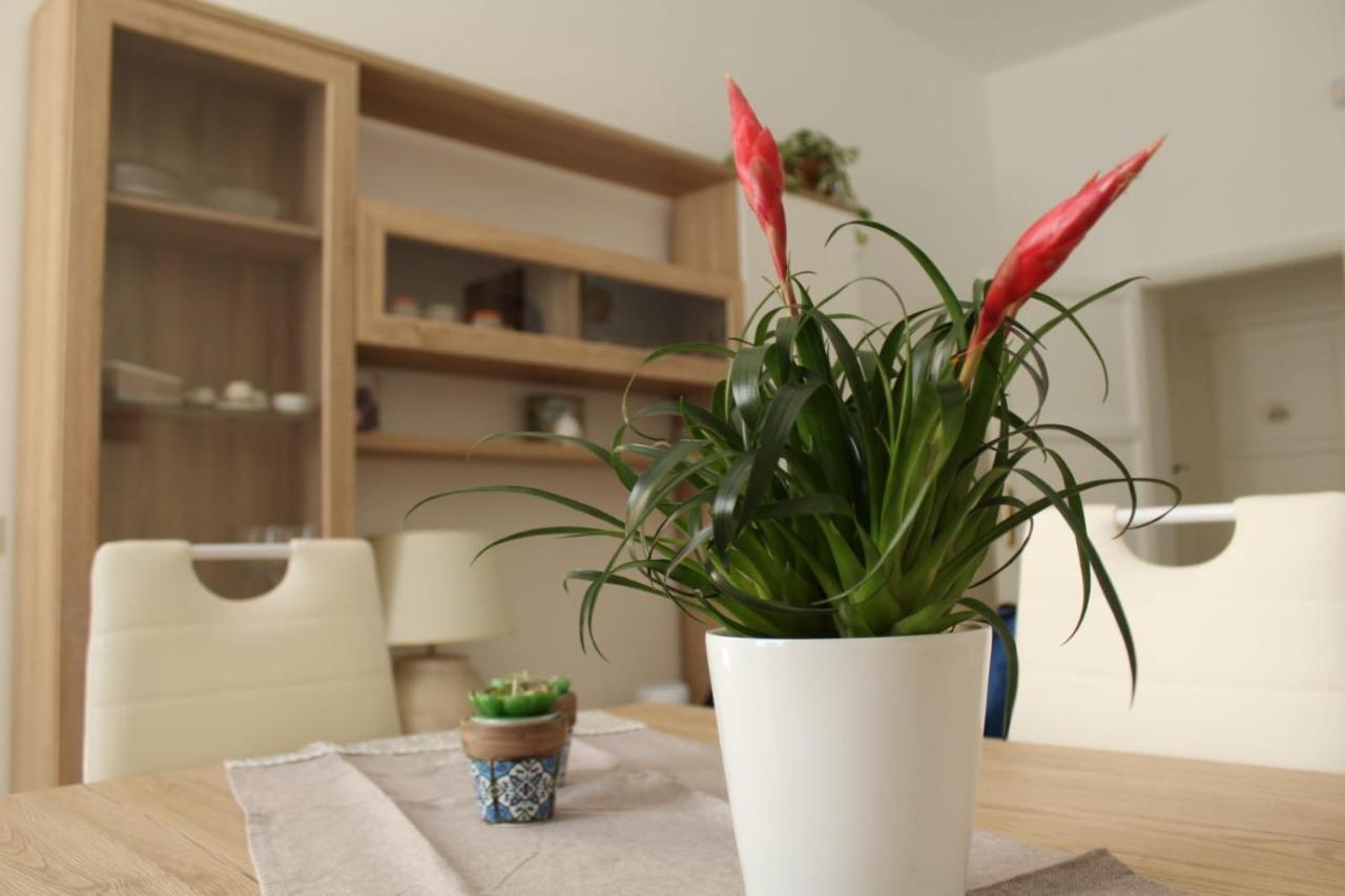 Ohana: Casa Nel Centro Di Lecce Zewnętrze zdjęcie